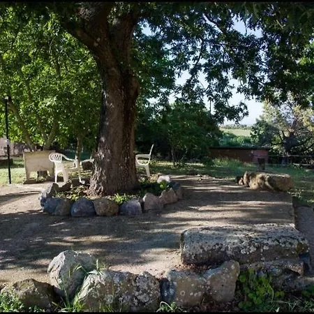 Apartamento Favoloso In Monterosi