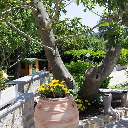 Favoloso In Monterosi